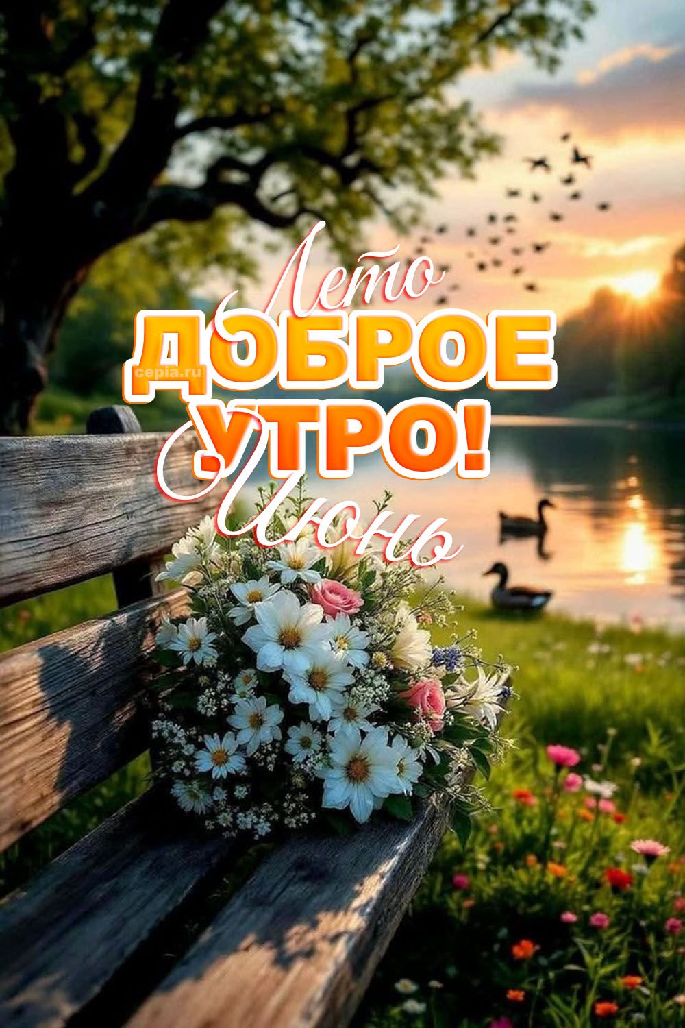 Лето Доброе Утро! Июнь