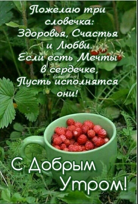 Пожелаю три словечка: Здоровья, Счастья и Любви. Если есть Мечты в сердечке, Пусть исполнятся они! С Добрым Утром!