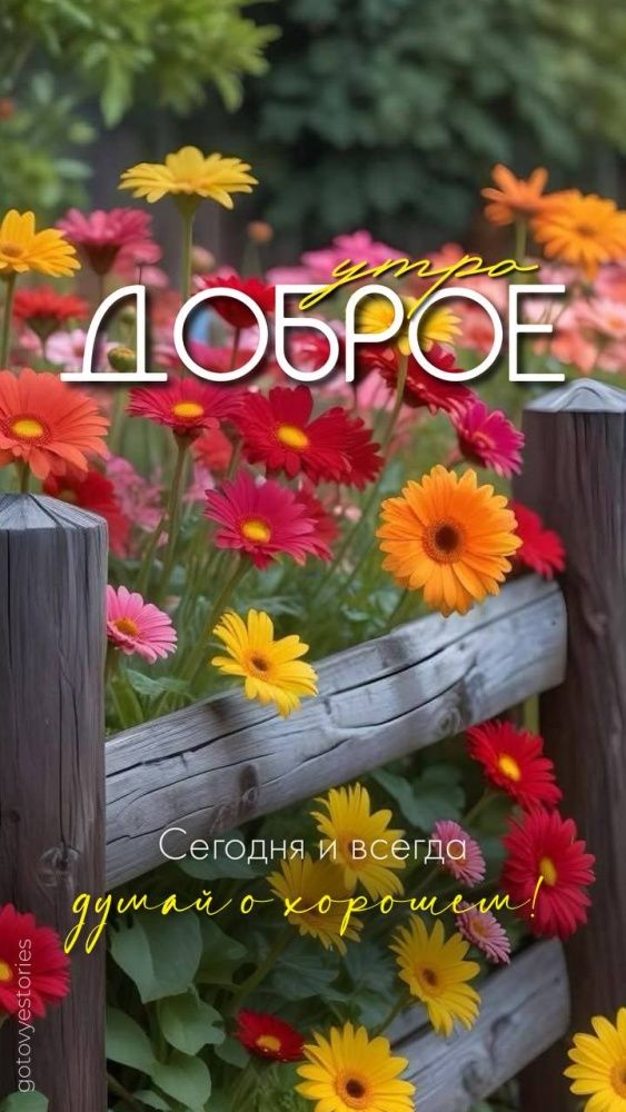 Утро ДОБРОЕ
Сегодня и всегда
думай о хорошем!