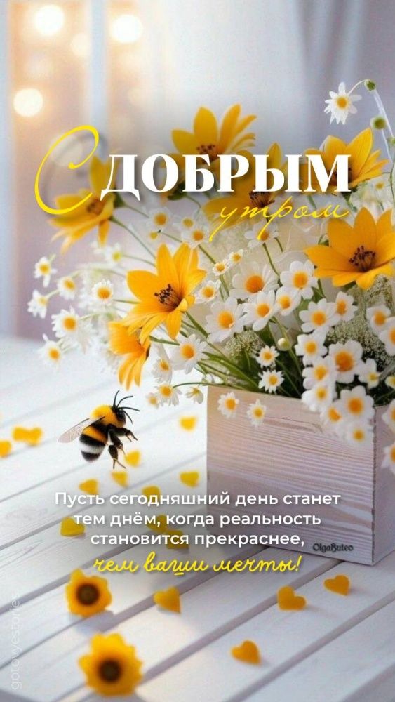 С ДОБРЫМ утром! Пусть сегодняшний день станет тем днём, когда реальность становится прекраснее, чем ваши мечты!
