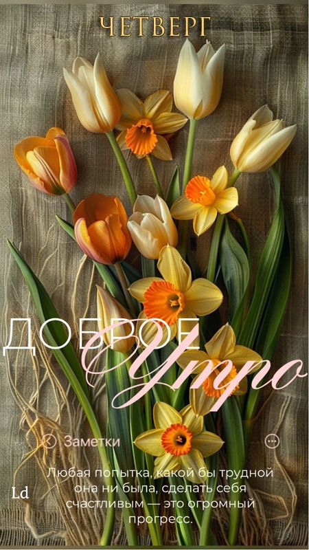 Доброе утро
Любая попытка, какой бы трудной она ни была, сделать себя счастливым — это огромный прогресс.