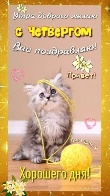 Утра доброго желаю с Четвергом Вас поздравляю! Привет! Хорошего дня!