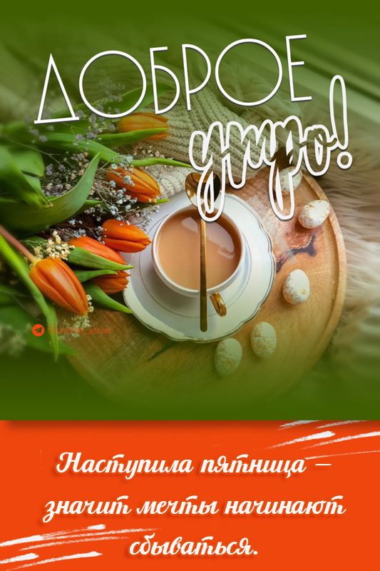 Наступила пятница – значит мечты начинают сбываться.