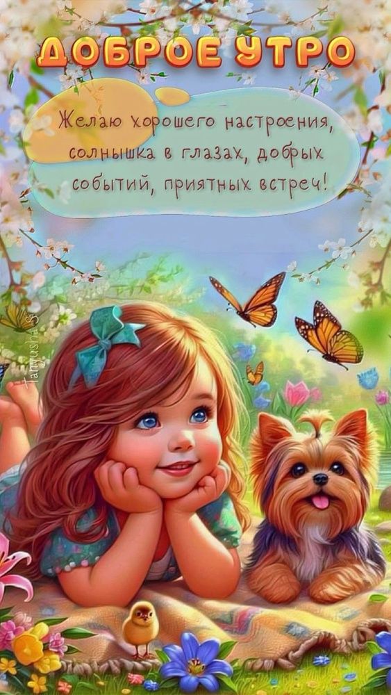 Доброе утро
Желаю хорошего настроения, солнышка в глазах, добрых событий, приятных встреч!