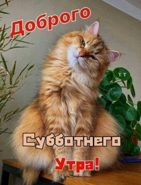 Добroго Субботнего Утра!
