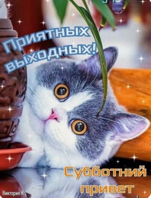 Приятных выходных!
Субботний привет