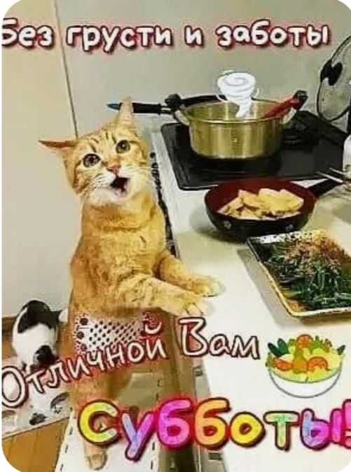 Без грусти и заботы
Отличной Вам Субботы!