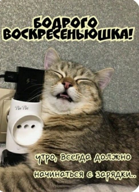 БОГОРО ВОСКРЕСЕНЬЮШКА! УТРО, ВСЕГДА ДОЛЖНО НАЧИНАТЬСЯ С ЗАРЯДКИ..