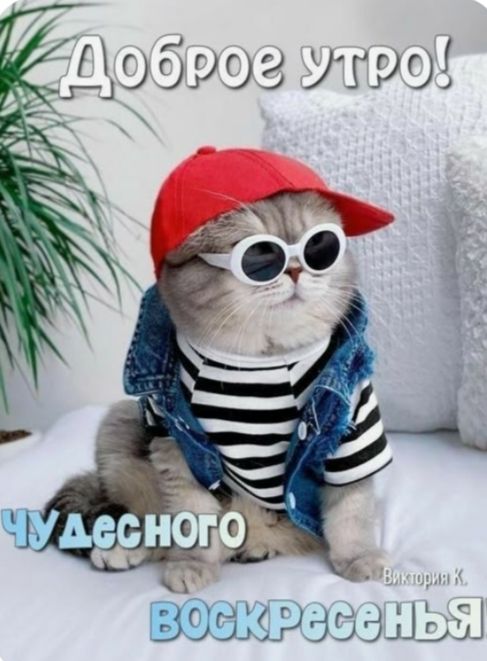 Доброе утро! Чудесного Воскресенья