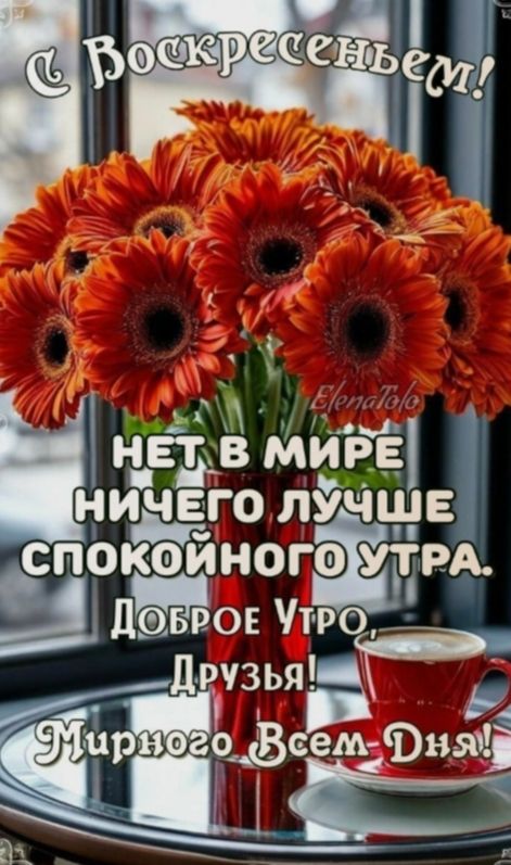 С Воскресеньем! НЕТ В МИРЕ НИЧЕГО ЛУЧШЕ СПОКОЙНОГО УТРА. Доброе Утро, Друзья! Мирного Всем Дня!