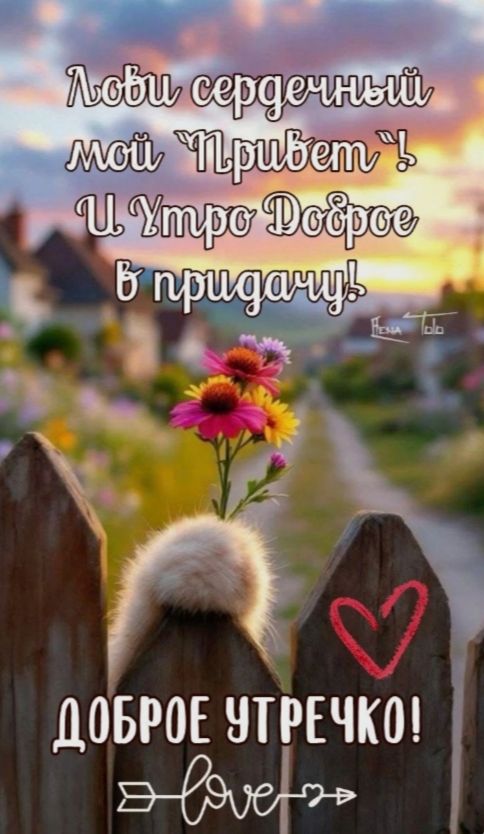 Лови сердечный мой 