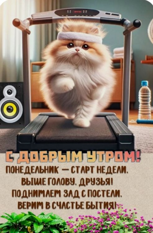 С ДОБРЫМ УТРОМ! ПОНЕДЕЛЬНИК — СТАРТ НЕДЕЛИ. ВЫШЕ ГОЛОВУ, ДРУЗЬЯ! ПОДНИМЕМ ЗАД С ПОСТЕЛИ. ВЕРИМ В СЧАСТЬЕ БЫТИЯ!