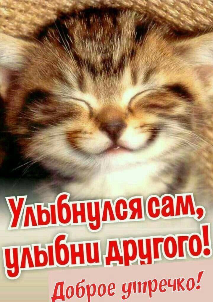 Улыбнулся сам, улыбни другого! Доброе утречко!