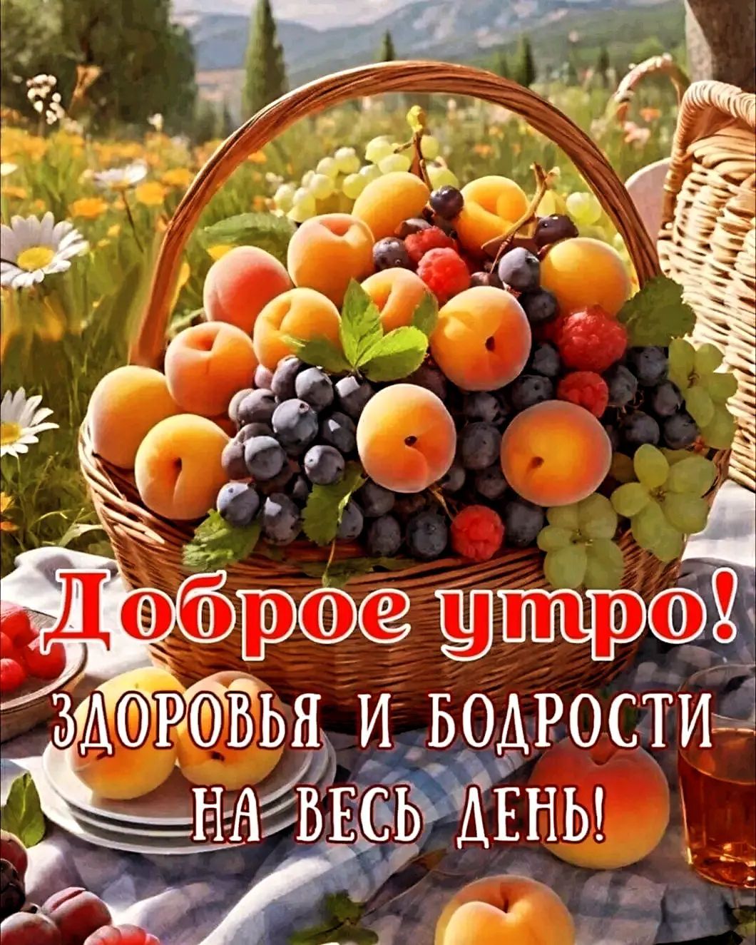 Доброе утро! Здоровья и бодрости на весь день!