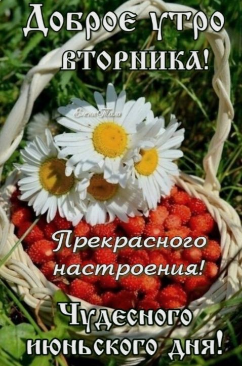 Доброе утро вторника! Прекрасного настроения! Чудесного юньского дня!
