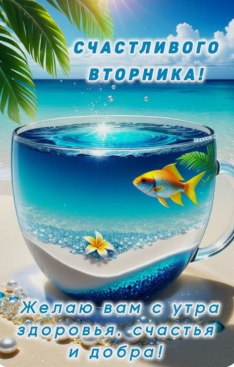 Счастливого вторника! Желаю вам с утра здоровья, счастья и добра!