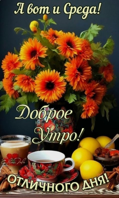 А вот и Среда! Доброе Утро! Отличного дня!