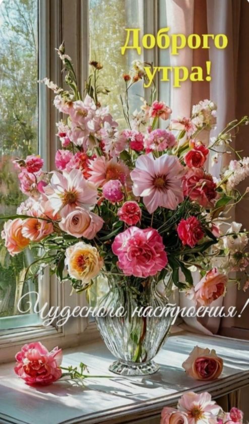 Доброего утра! Чудесное настроение!
