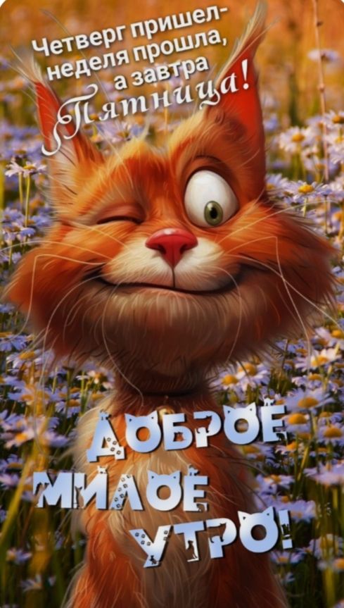 Четверг пришел- неделя прошла, а завтра Пятница! ДОБРОЕ МИЛОЕ УТРО!