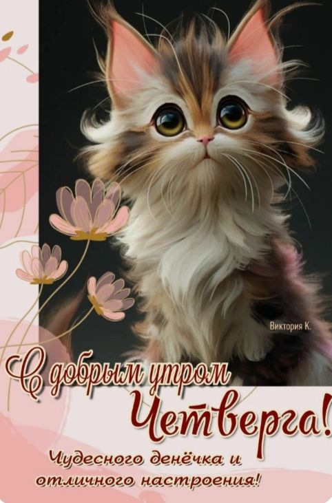С добрым утром Четверга! Чудесного денёчка и отличного настроения!