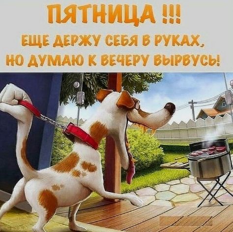 ПЯТНИЦА !!! ЕЩЕ ДЕРЖУ СЕБЯ В РУКАХ, НО ДУМАЮ К ВЕЧЕРУ ВЫРВУСЬ!