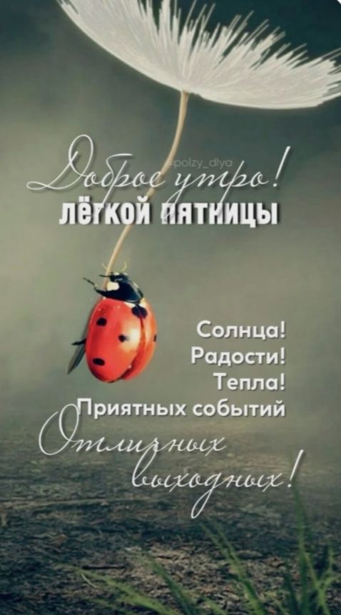Доброе утро! лёгкой пятницы! Солнца! Радости! Тепла! Приятных событий! Отличных выходных!