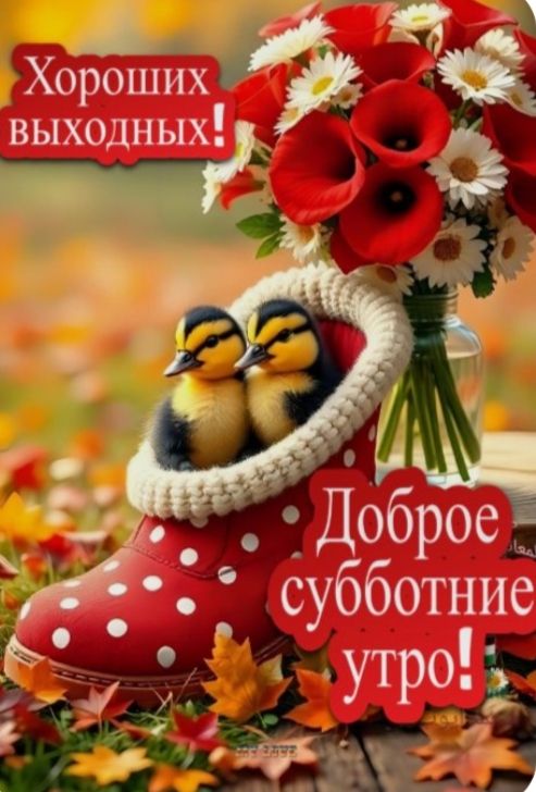 Хороших выходных! Доброе субботнее утро!