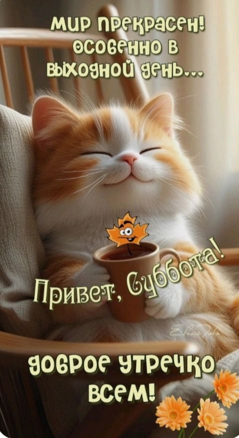 мир прекрасен! особенно в выходной день… Привет, Суббота! доброе утренечко всем!
