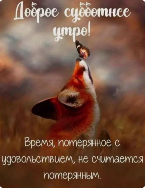 Доброе солнечное утро!
Время, потерянное с удовольствием, не считается потерянным.