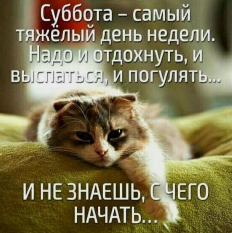 Суббота – самый тяжёлый день недели. Надо и отдохнуть, и выспаться, и погулять... И не знаешь, с чего начать...