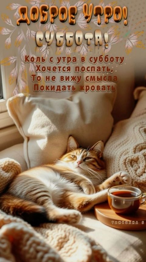 ДОБРОЕ УТРО! СУББОТА! 
Коль с утра в субботу 
Хотится поспать, 
То не вижу смысла 
Покидать кровать
