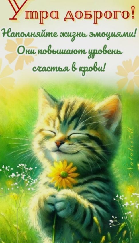 Утра доброго! Наполняйте жизнь эмоциями! Они повышают уровень счастья в крови!