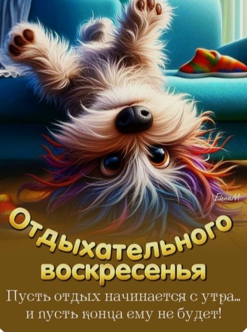Отдыхательного воскресенья
Пусть отдых начинается с утра... и пусть юнца ему не будет!