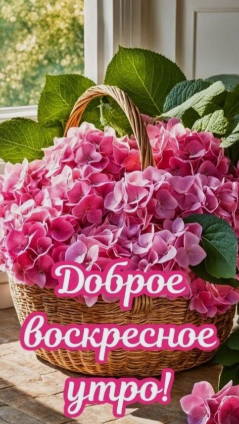 Доброе воскресное утро!