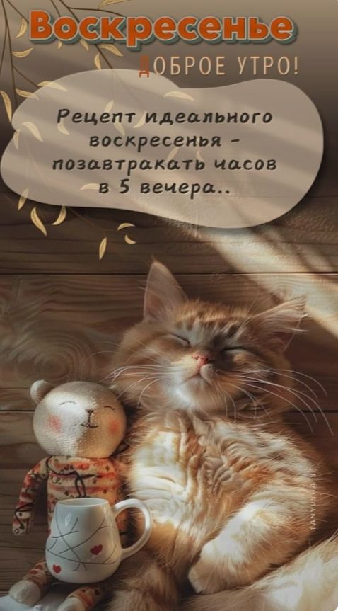 Воскресенье
ДОБРОЕ УТРО!
Рецепт идеального воскресенья - позавтракать часов в 5 вечера..