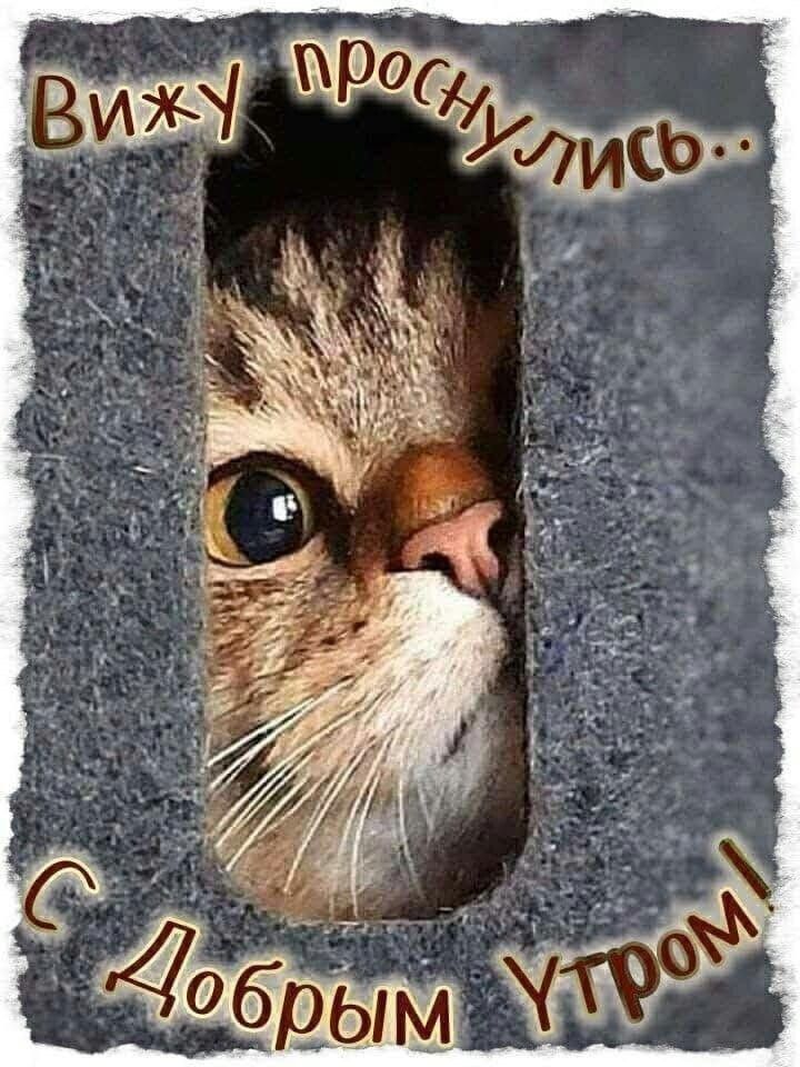 Вижу проснулись.. С Добрым Утром!