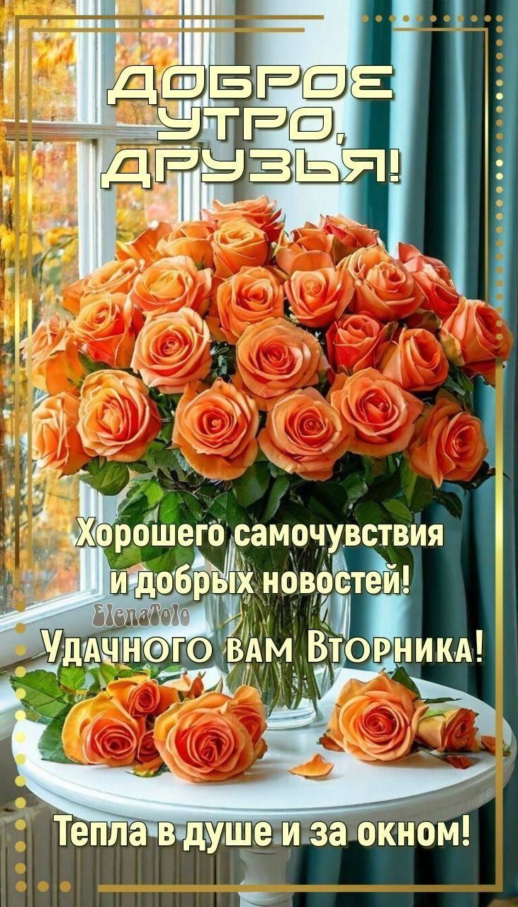 ДОБРОЕ УТРО, ДРУЗЬЯ!
Хорошего самочувствия и добрых новостей!
Удачного вам Вторника!
Тепла в душе и за окном!