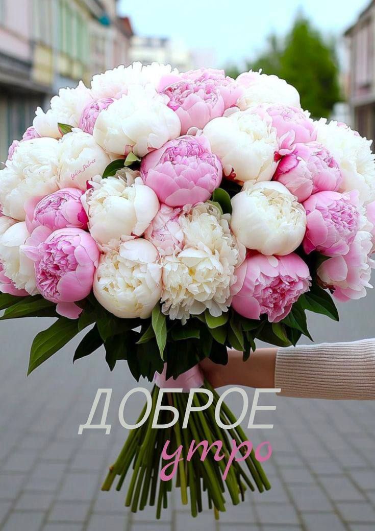 ДОБРОЕ утро