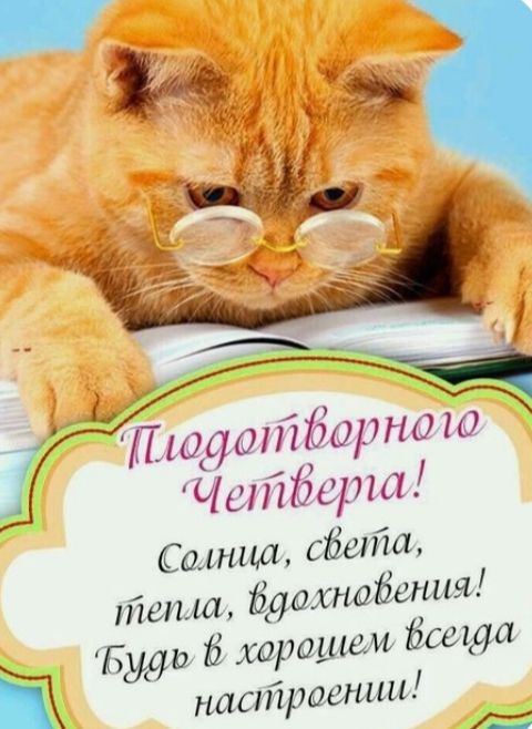 Подготовочного Четверга! Солнца, света, тепла, вдохновения! Будь в хорошем всегда настроении!