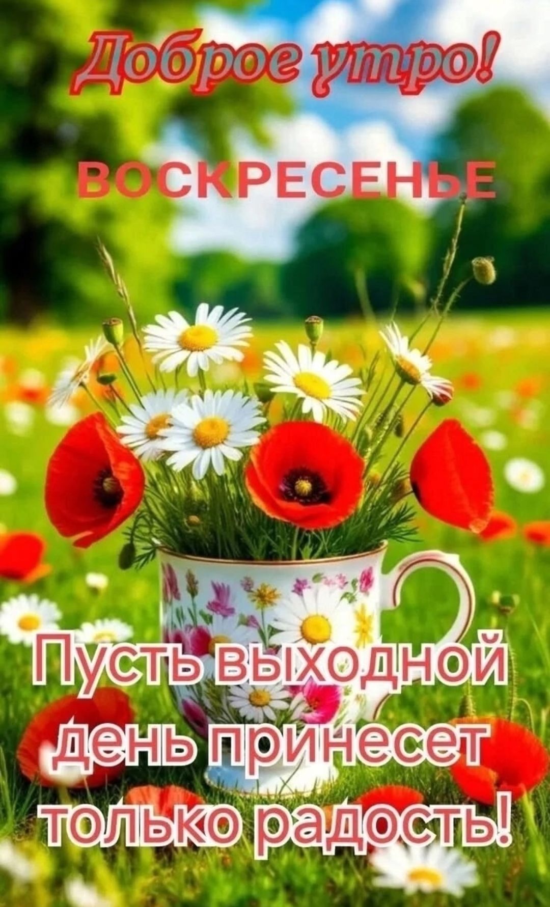 Доброе утро! ВОСКРЕСЕНЬЕ. Пусть выходной день принесет только радость!