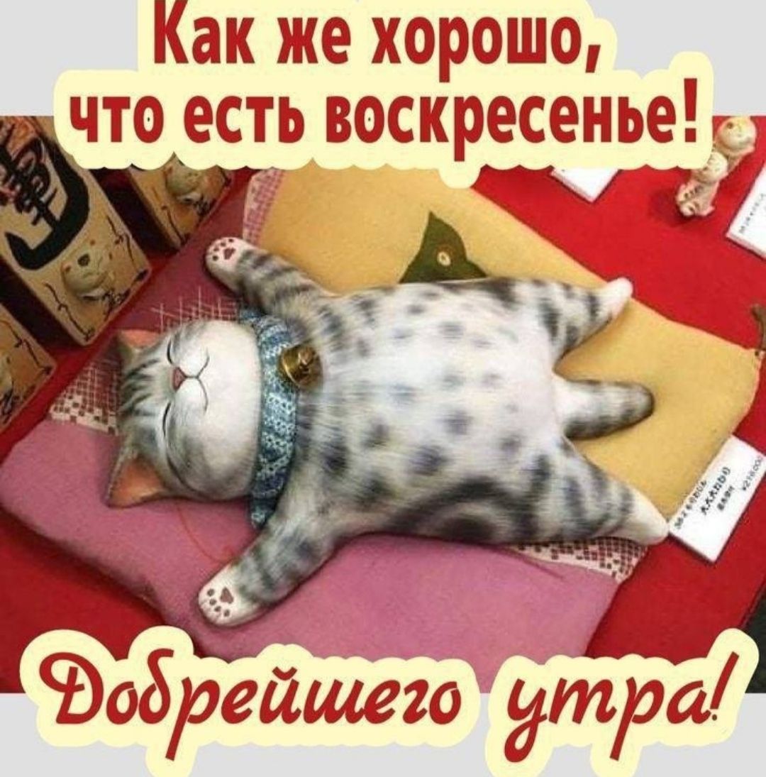 Как же хорошо, что есть воскресенье!
Добрейшего утра!