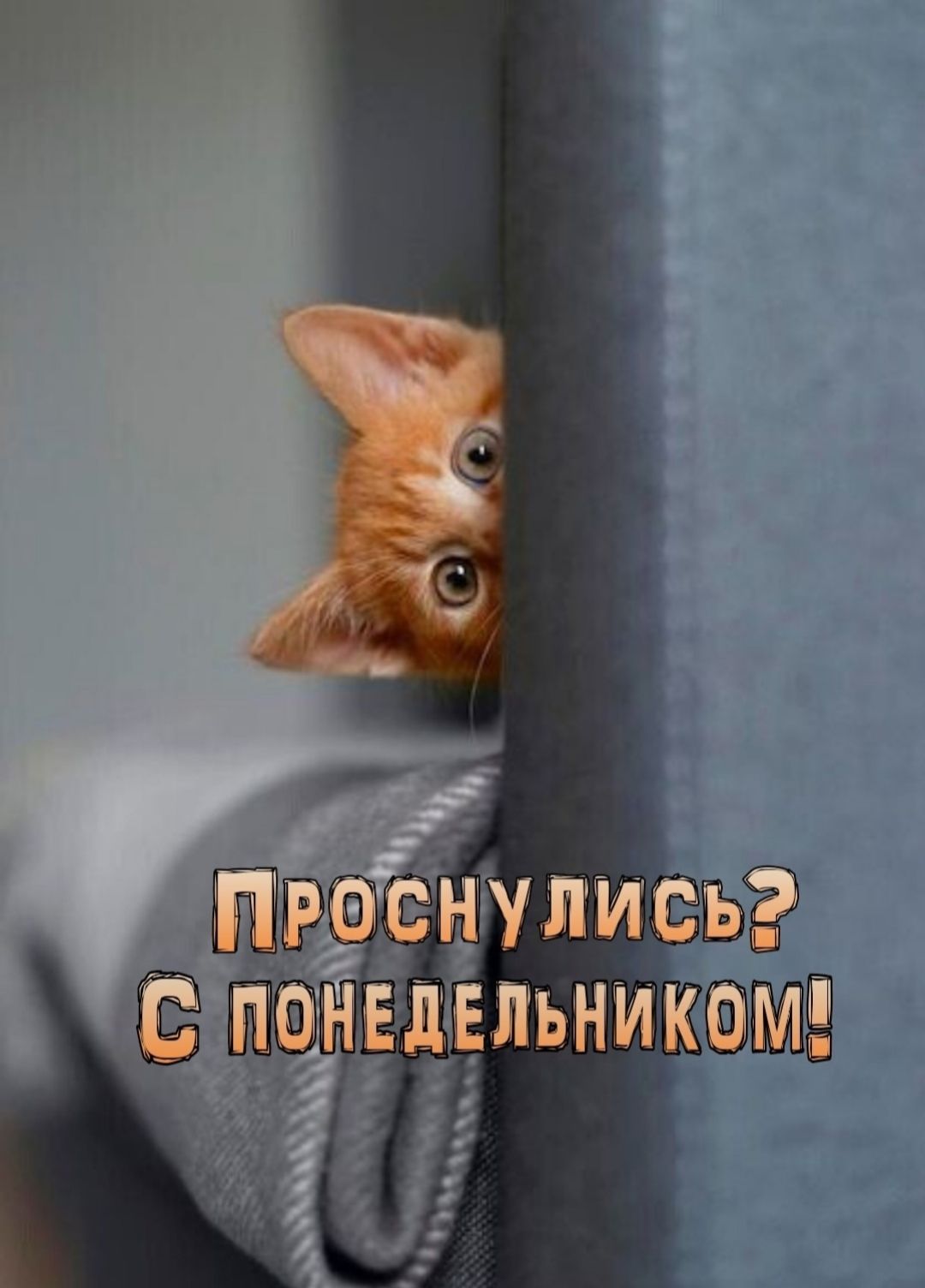 Проснулись? С понедельником!