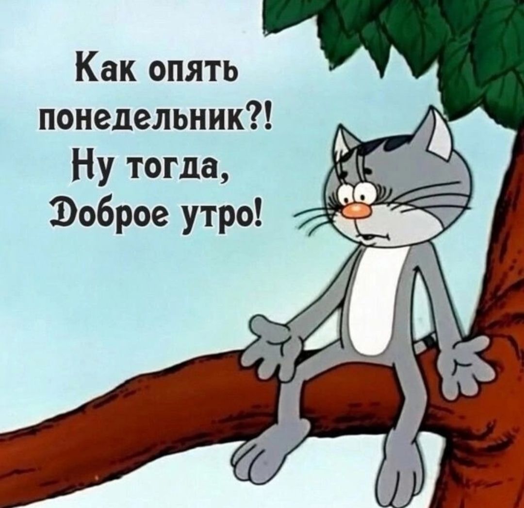 Как опять понедельник?! Ну тогда, Доброе утро!