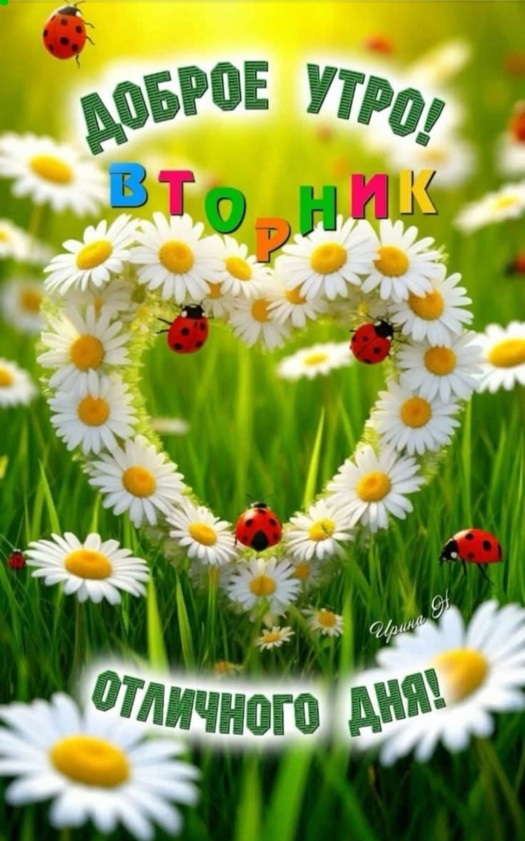 ДОБРОЕ УТРО! ВТОРНИК ОТЛИЧНОГО ДНЯ!