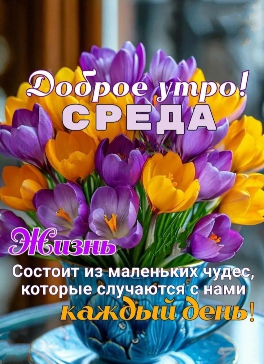 Доброе утро! СРЕДА
Жизнь
Состоит из маленьких чудес, которые случаются с нами каждый день!