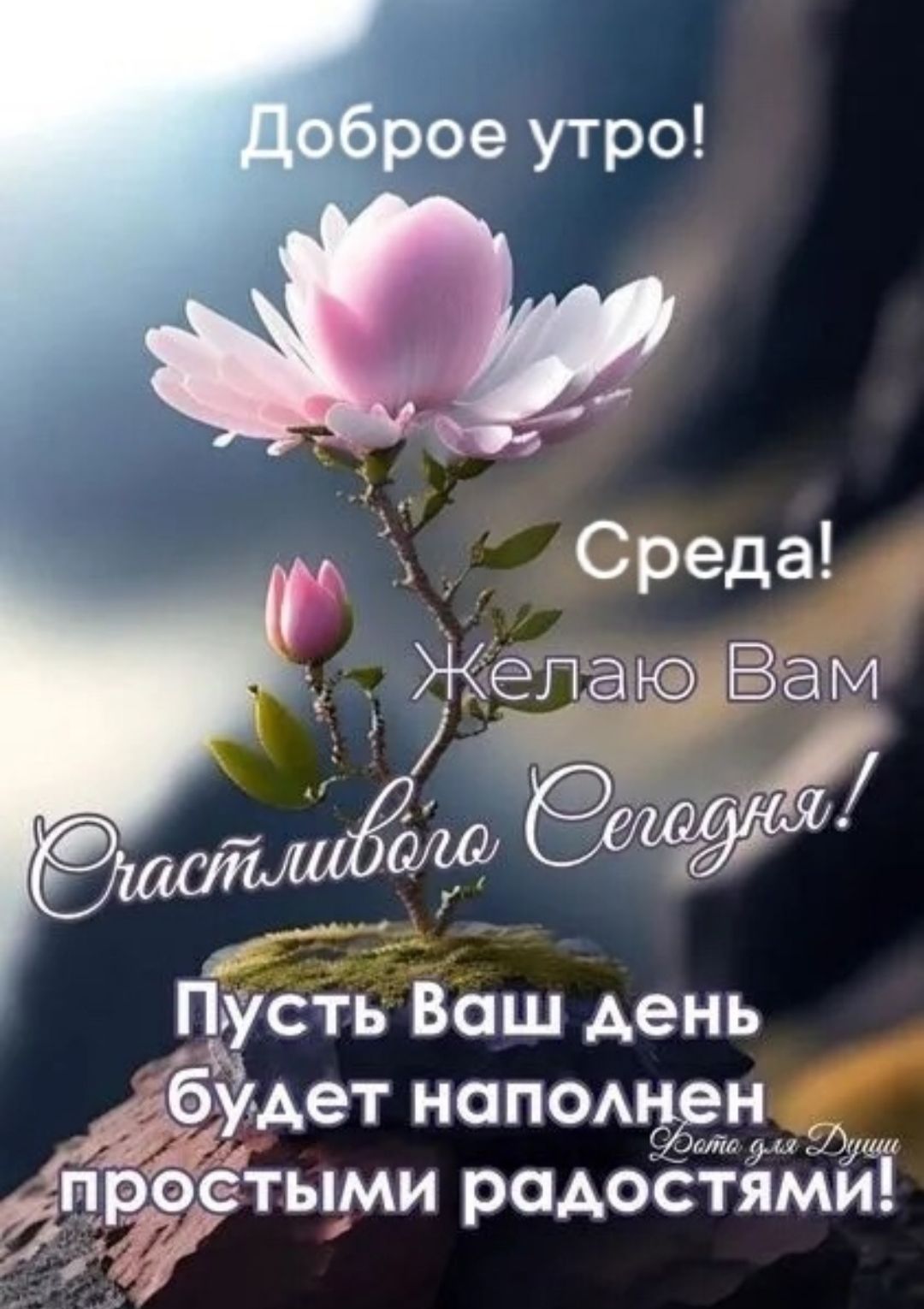Доброе утро! Среда! Желаю Вам Счастливого Сегодня! Пусть Ваш день будет наполнен простыми радостями!