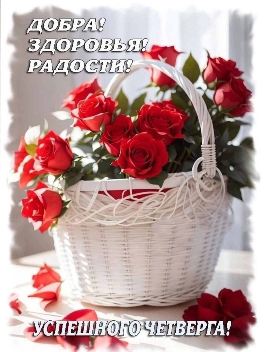 ДОБРА! ЗДОРОВЬЯ! РАДОСТИ! УСПЕШНОГО ЧЕТВЕРГА!