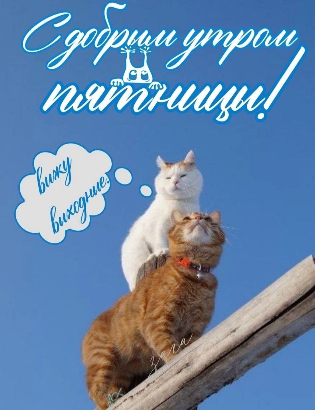 С добрым утром пятницы! вижу выходные