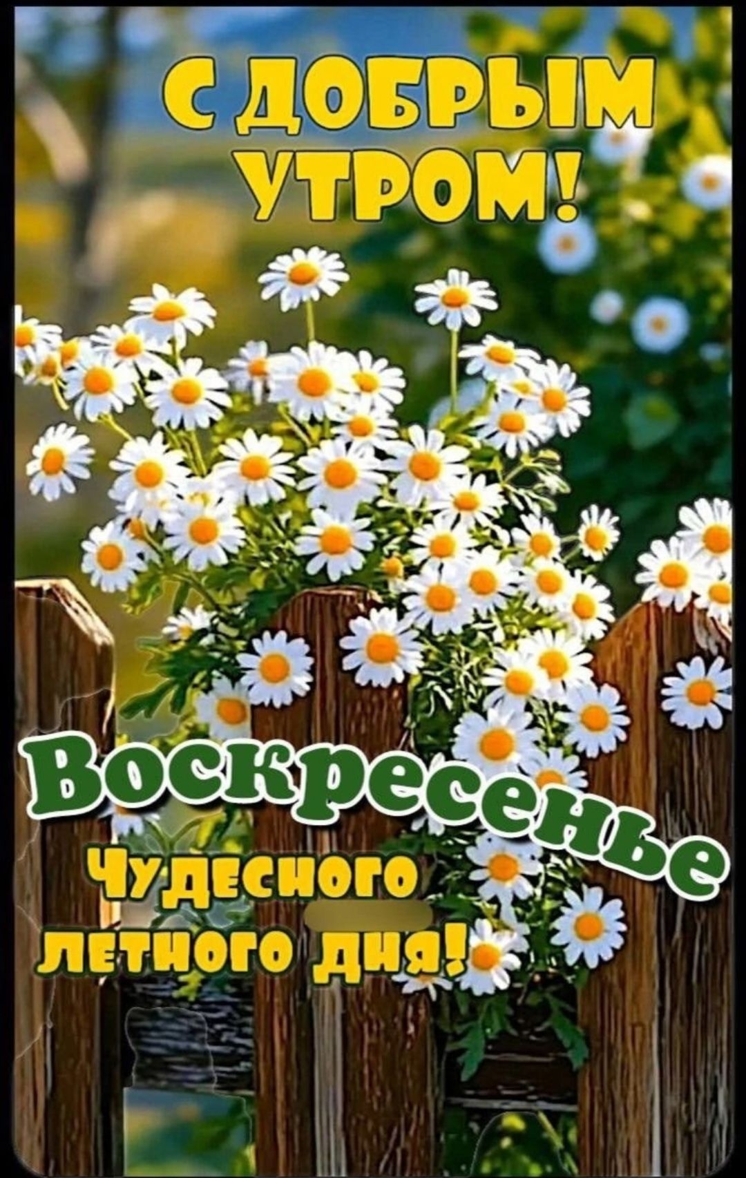 С ДОБРЫМ УТРОМ! Воскресенье Чудесного летнего дня!