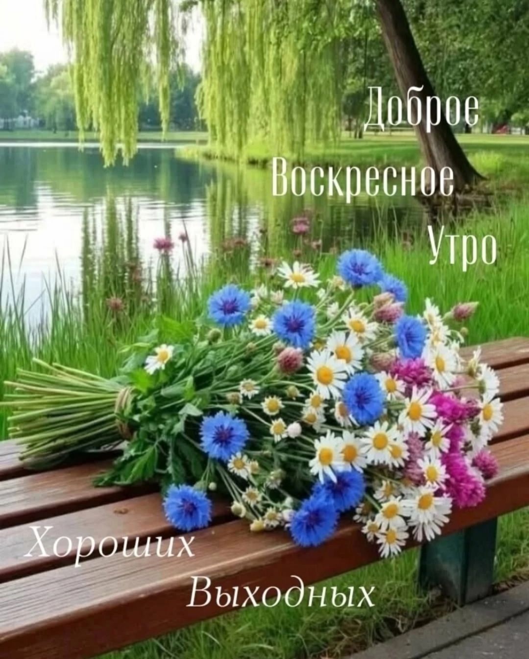 Доброе Воскресное Утро Хороших Выходных